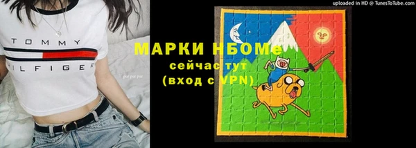 Альфа ПВП Инсар