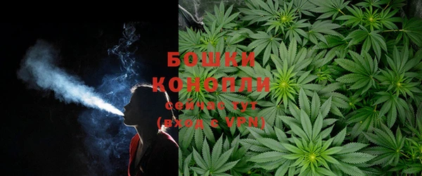 герыч Иннополис