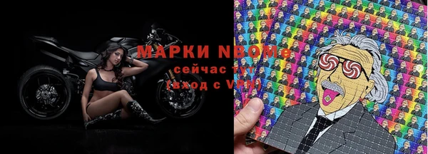 Альфа ПВП Инсар