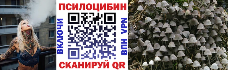 Галлюциногенные грибы Cubensis  Купить где  Салаир 